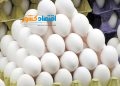 چرا قیمت تخممرغ جهش کرد؟ پاسخ مرغداران: ماهها زیر قیمت واقعی فروختیم