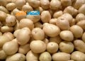 گرانی در بازار کالاهای اساسی، سرانه مصرف سیب‌زمینی را ۴۰ کیلوگرم کرد
